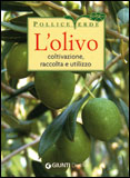 Libro l'olivo Libro olivo