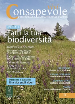 eBook - Vivi Consapevole - N. 24