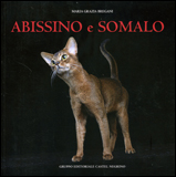 Abissino e Somalo