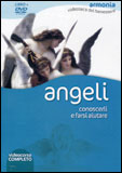 Angeli - DVD