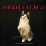 Angora Turco