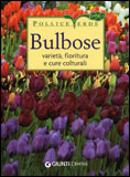 Bulbose