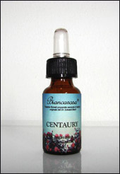 Centaury - Centaurea