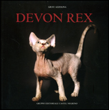 Devon Rex