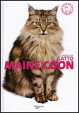 Il Gatto Maine Coon