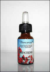Impatiens - Erba Balsamina