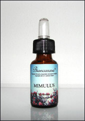 Mimulus - Mimmolo