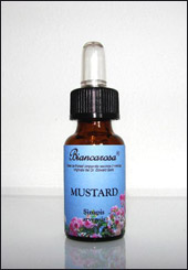 Mustard - Senape