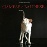 Siamese e Balinese