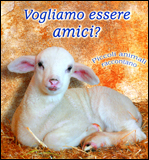 Vogliamo Essere Amici?