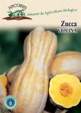 Zucca Violina 4 gr