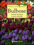 Bulbose