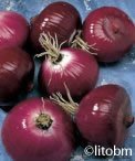 Cipolla Rossa Morada de Amposta - 25 gr - B461