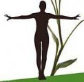 CORSO DI SPECIALIZZAZIONE IN ANIMAZIONE OLISTICA® T.A.O.