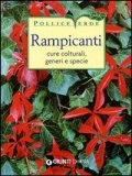 Rampicanti