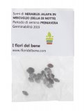 Semi di Bella di Notte - Mirabilis Jalapa