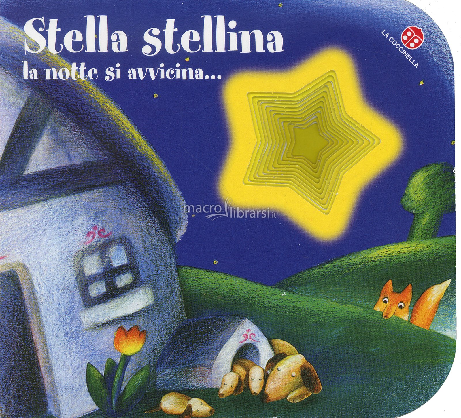 Stella Stellina La Notte Si Avvicina