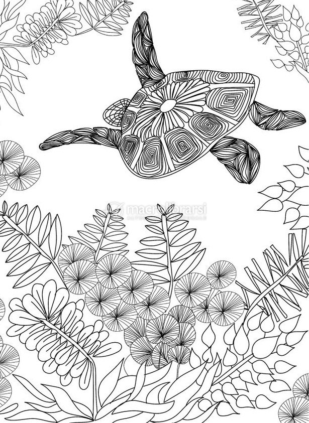 Disegni Straordinari Libri Antistress Da Colorare