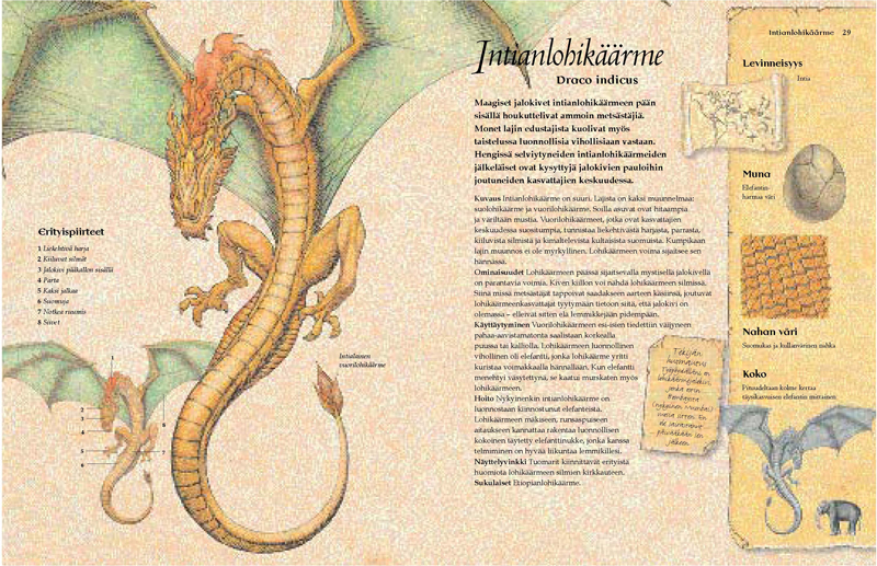 Come allevare e accudire un drago