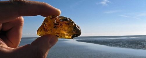 Come riconoscere ambra