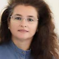 Cristina Bellemo