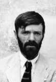 David Herbert Lawrence