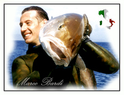 Marco Bardi