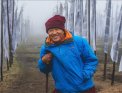 Khyentse Norbu