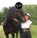 Raidho Healing Horses