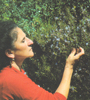 Rosalba Gioffrè