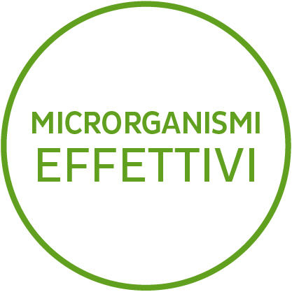 Microrganismi effettivi