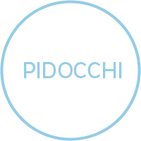 Pidocchi