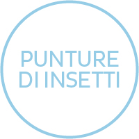 Punture di insetti