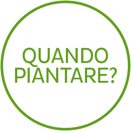 Quando piantare?