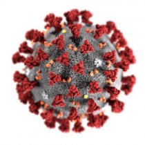 Coronavirus Covid-19