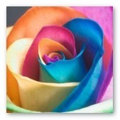 Crescita Personale Femminile
