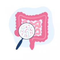 Integratori per microbiota