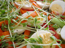 Intolleranze Alimentari