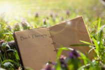 Miscele e Essenze con Fiori di Bach