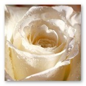 Spiritualità al Femminile