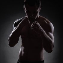 Sport di combattimento