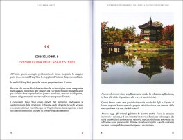 10 Consigli per Cambiare la Tua Casa con il Feng Shui — Libro - 3
