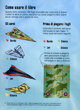 100 Aerei di Carta da Piegare e Lanciare — Libro - 2