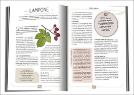 160 Alimenti che Fanno Bene — Libro - 2