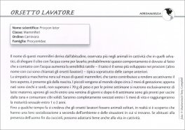 100 Cuccioli da Scoprire — Libro - 5