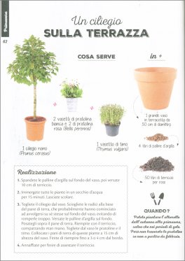 100 Progetti di Giardinaggio Semplicissimi — Libro - 3