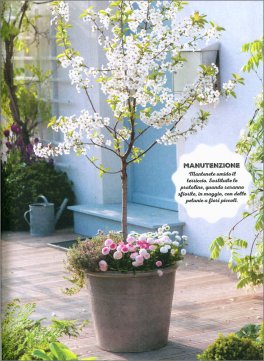 100 Progetti di Giardinaggio Semplicissimi — Libro - 4