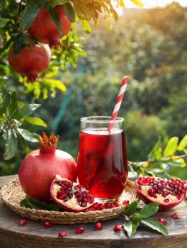 100% Succo di Melagrana Biologica "Melodrama" - 4