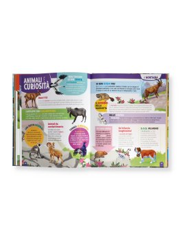 1000 Animali del Mondo — Libro - 4