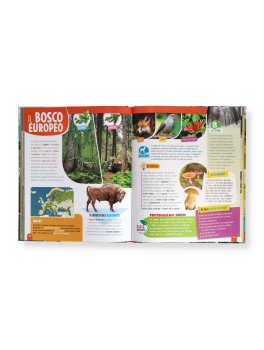 1000 Animali del Mondo — Libro - 2